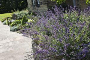 buckle lane memorial garden flower beds 6 sm.jpg